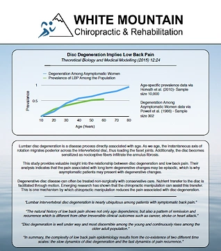Chiropractic New Ipswich NH Disc Degeneration & Back Pain