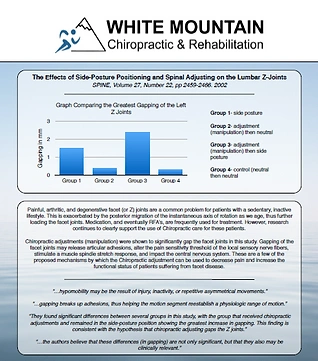 Chiropractic Portsmouth NH Efficacy of Lumbar Manipulation